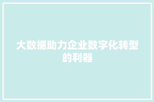大数据助力企业数字化转型的利器