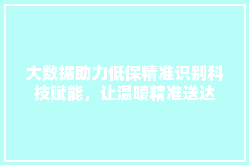 大数据助力低保精准识别科技赋能，让温暖精准送达  第1张