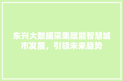 东兴大数据采集赋能智慧城市发展，引领未来趋势