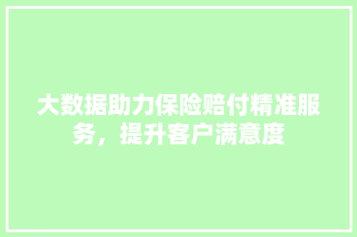大数据助力保险赔付精准服务，提升客户满意度