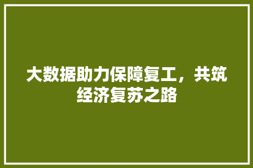 大数据助力保障复工，共筑经济复苏之路