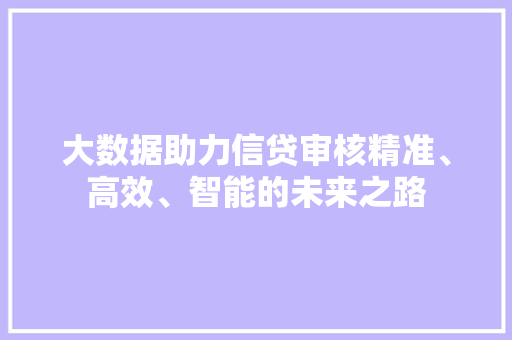 大数据助力信贷审核精准、高效、智能的未来之路