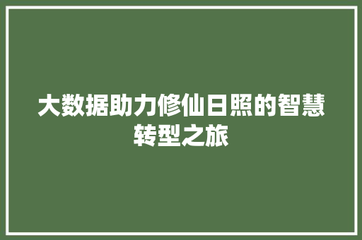 大数据助力修仙日照的智慧转型之旅