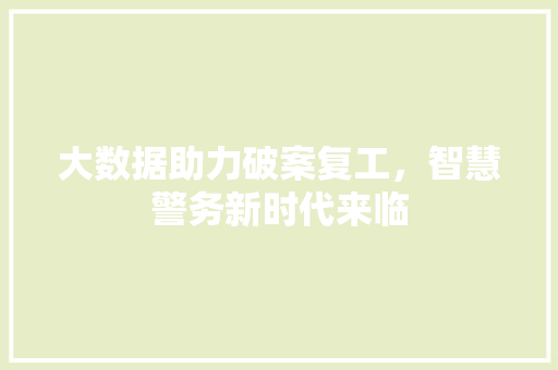 大数据助力破案复工，智慧警务新时代来临  第1张