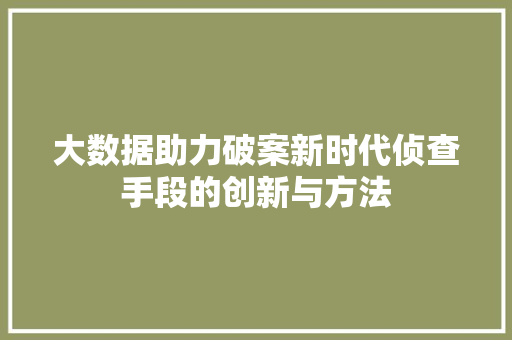 大数据助力破案新时代侦查手段的创新与方法