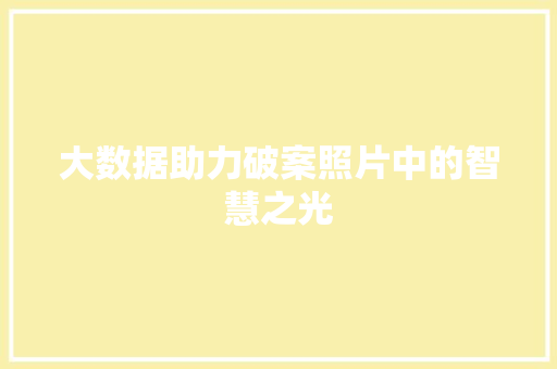大数据助力破案照片中的智慧之光  第1张
