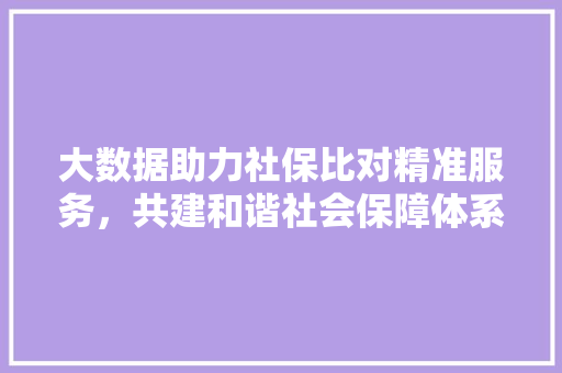 大数据助力社保比对精准服务，共建和谐社会保障体系  第1张