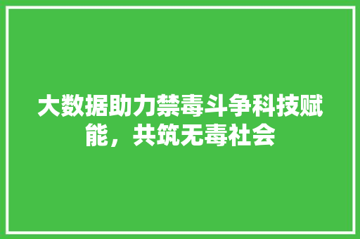 大数据助力禁毒斗争科技赋能，共筑无毒社会  第1张