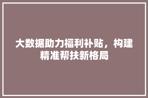 大数据助力福利补贴，构建精准帮扶新格局