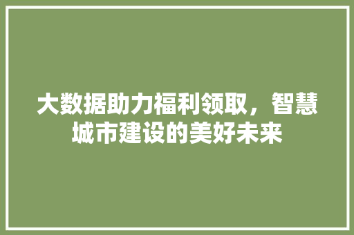 大数据助力福利领取，智慧城市建设的美好未来