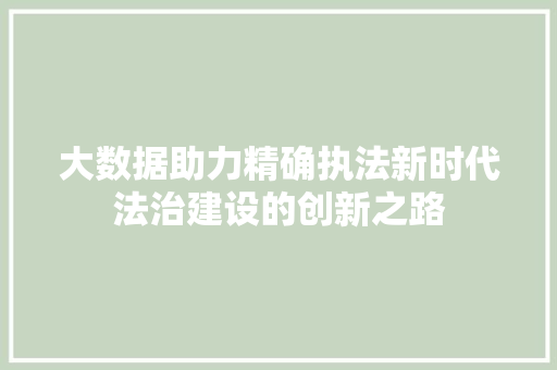大数据助力精确执法新时代法治建设的创新之路