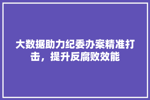 大数据助力纪委办案精准打击，提升反腐败效能  第1张