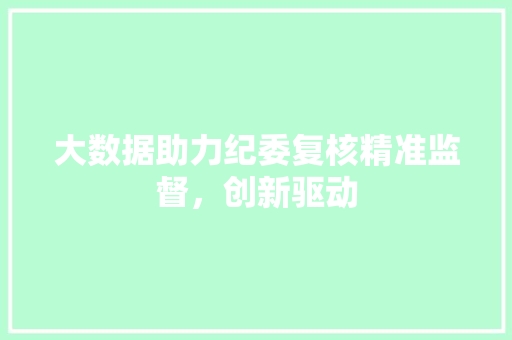 大数据助力纪委复核精准监督，创新驱动