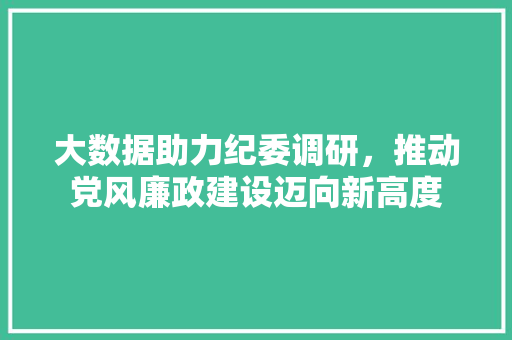 大数据助力纪委调研，推动党风廉政建设迈向新高度  第1张