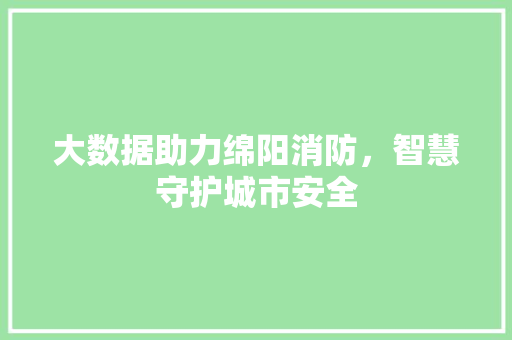 大数据助力绵阳消防，智慧守护城市安全