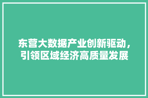 东营大数据产业创新驱动，引领区域经济高质量发展