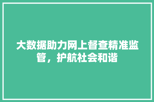 大数据助力网上督查精准监管，护航社会和谐