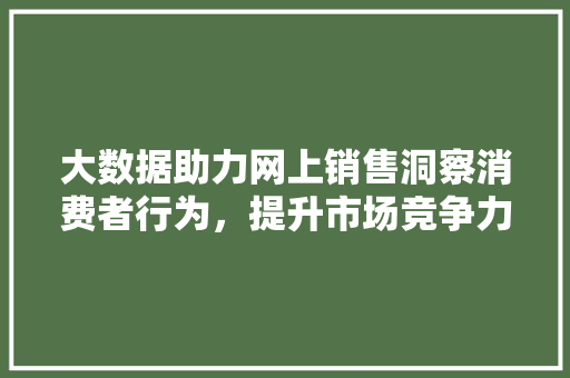 大数据助力网上销售洞察消费者行为，提升市场竞争力