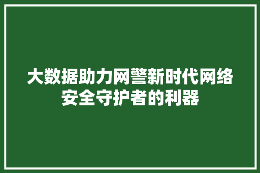 大数据助力网警新时代网络安全守护者的利器