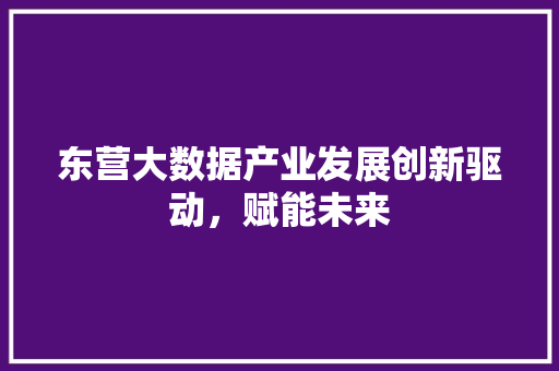 东营大数据产业发展创新驱动，赋能未来