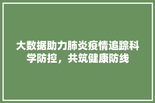 大数据助力肺炎疫情追踪科学防控，共筑健康防线