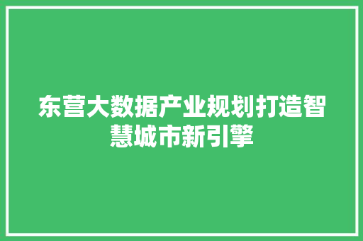 东营大数据产业规划打造智慧城市新引擎