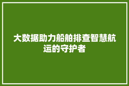 大数据助力船舶排查智慧航运的守护者
