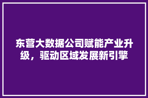 东营大数据公司赋能产业升级，驱动区域发展新引擎