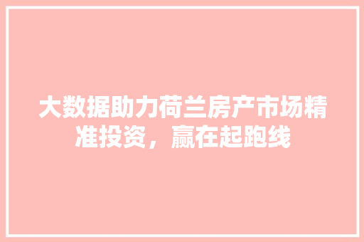 大数据助力荷兰房产市场精准投资，赢在起跑线