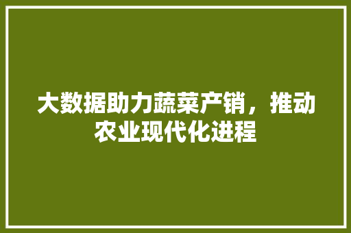 大数据助力蔬菜产销，推动农业现代化进程  第1张