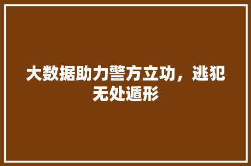 大数据助力警方立功，逃犯无处遁形