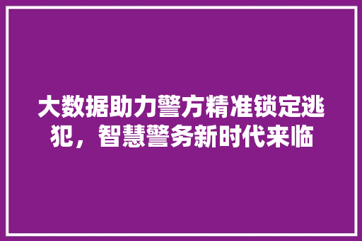 大数据助力警方精准锁定逃犯，智慧警务新时代来临