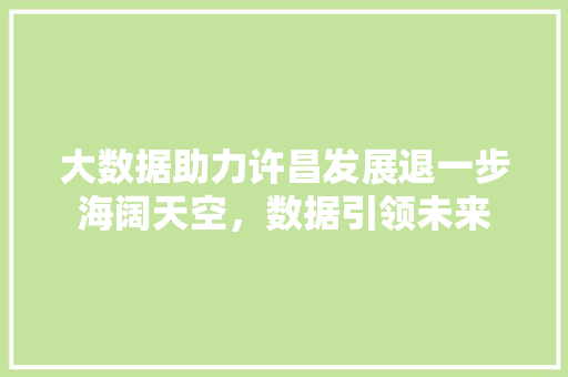 大数据助力许昌发展退一步海阔天空，数据引领未来