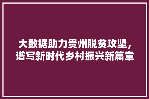 大数据助力贵州脱贫攻坚，谱写新时代乡村振兴新篇章