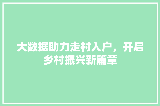 大数据助力走村入户，开启乡村振兴新篇章