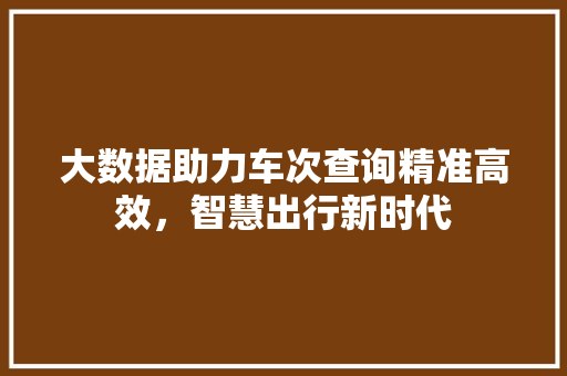 大数据助力车次查询精准高效，智慧出行新时代