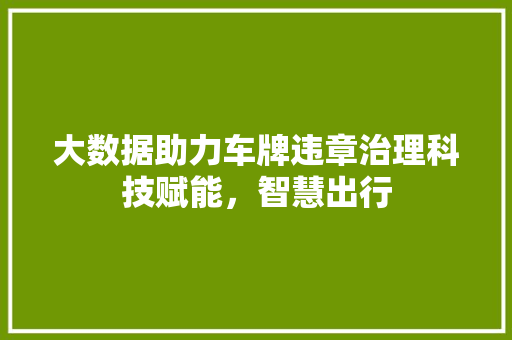 大数据助力车牌违章治理科技赋能，智慧出行  第1张