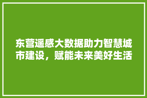 东营遥感大数据助力智慧城市建设，赋能未来美好生活