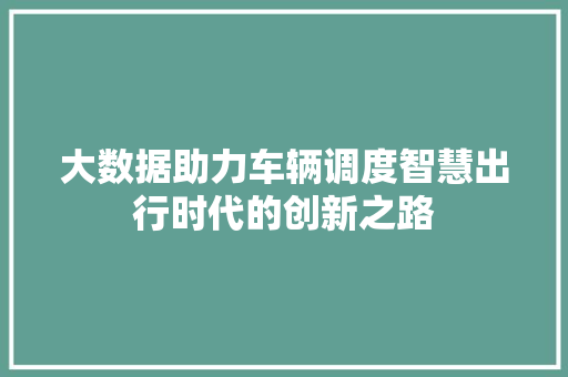 大数据助力车辆调度智慧出行时代的创新之路
