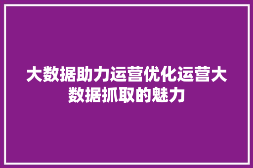 大数据助力运营优化运营大数据抓取的魅力  第1张