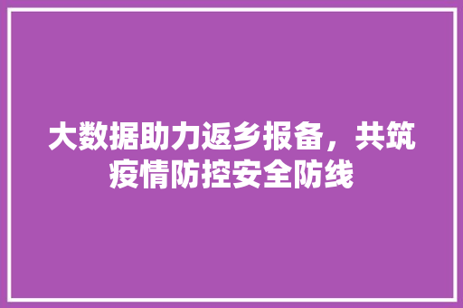 大数据助力返乡报备，共筑疫情防控安全防线