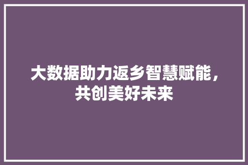 大数据助力返乡智慧赋能，共创美好未来
