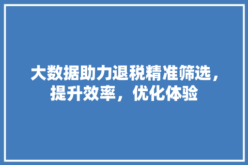 大数据助力退税精准筛选，提升效率，优化体验