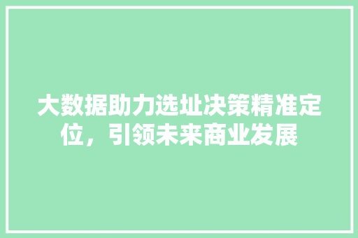 大数据助力选址决策精准定位，引领未来商业发展