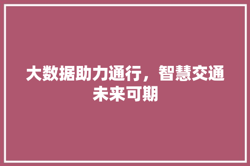 大数据助力通行，智慧交通未来可期  第1张