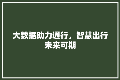 大数据助力通行，智慧出行未来可期
