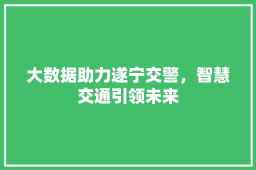 大数据助力遂宁交警，智慧交通引领未来  第1张
