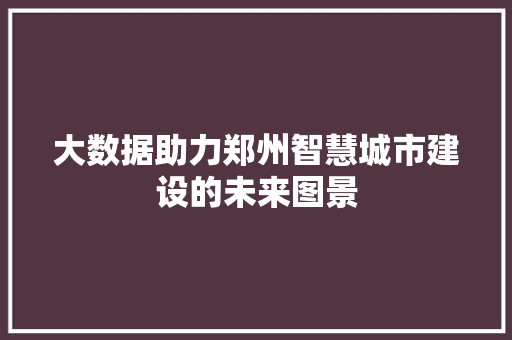 大数据助力郑州智慧城市建设的未来图景