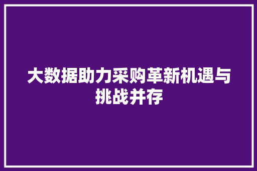 大数据助力采购革新机遇与挑战并存