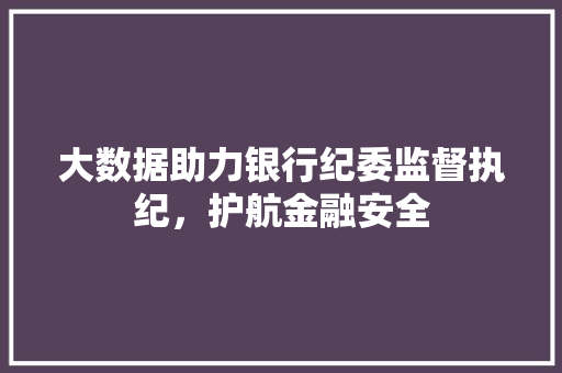 大数据助力银行纪委监督执纪，护航金融安全